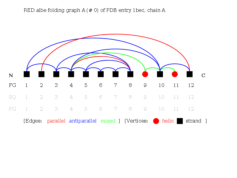 Alpha-Beta Folding Graph A of 1becA