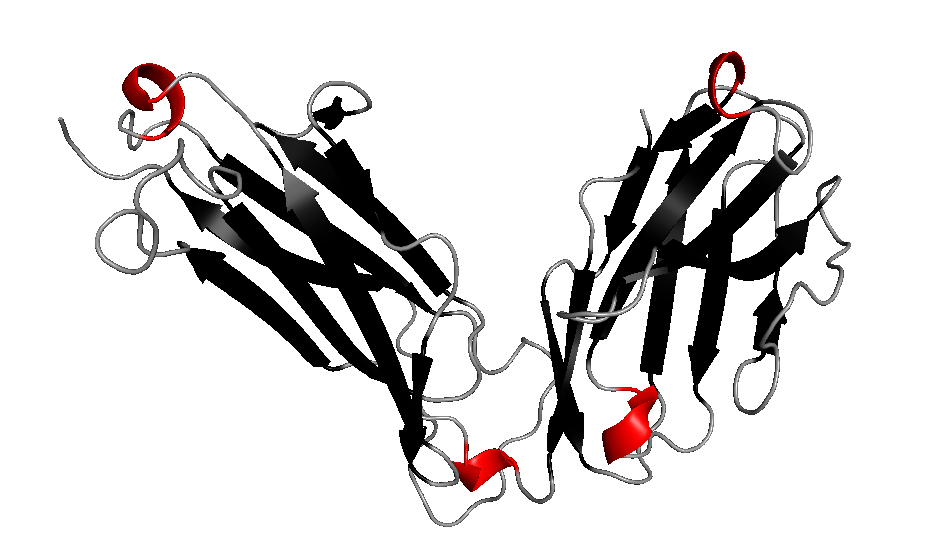 3D structure of 1bec