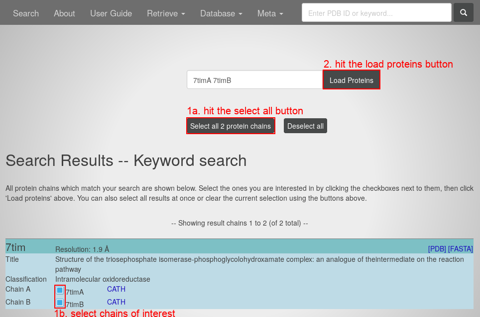 search.php webpage example